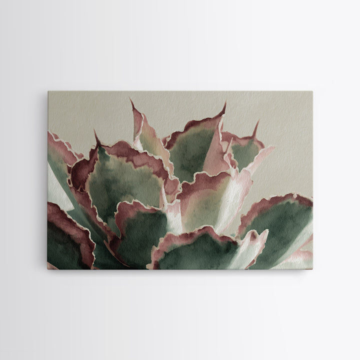 Cactus Botanical Plate Canvas Print, Botanical Art, Boho Decor, Living Room Decor, Fine Art, Botanic, Art Print, Digital Art, BOT-3x2-89