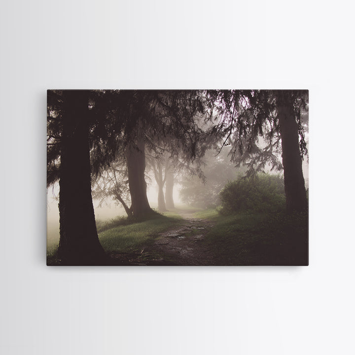 Mist Path Dawn – Framed Canvas Print – Christian Wall Art – Christian Art Canvas – Christian Gift Ideas – Christian Decor – Moody Christian