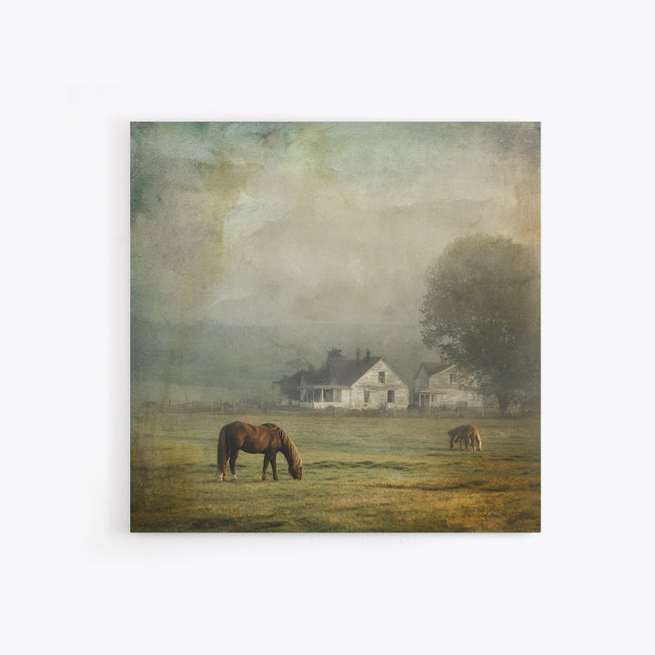 Rolling Pasture with Grazing Horses at Sunrise Framed Canvas Print, Country Art, Farmhouse Wall Art, Farmhouse Decor, Country, COU-1x1-1