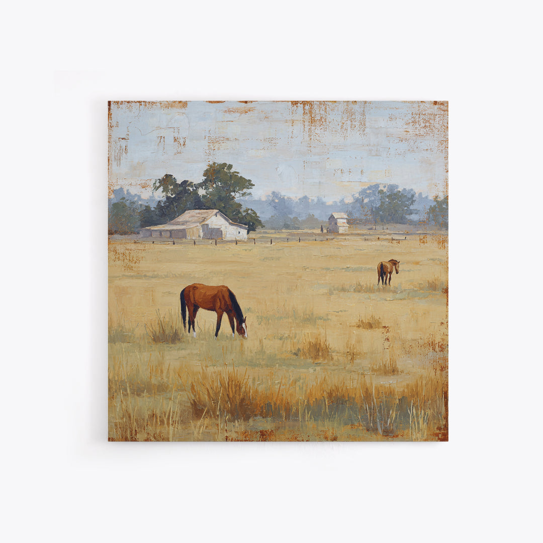 Rolling Pasture with Grazing Horses at Sunrise Canvas Print, Country Art, Neutral Decor, Farmhouse Decor, Fine Art, Country, COU-1x1-49