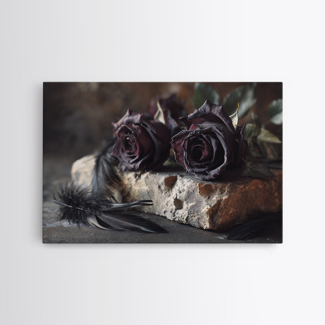 Black Roses Blooming from Cracked Stone Framed Canvas Print, Dark Art, Watercolor Painting, Living Room Decor, Nocturne, DAR-3x2-6