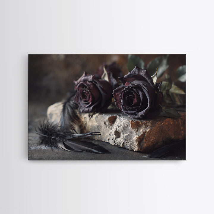 Black Roses Blooming from Cracked Stone Framed Canvas Print, Dark Art, Watercolor Painting, Living Room Decor, Nocturne, DAR-3x2-6