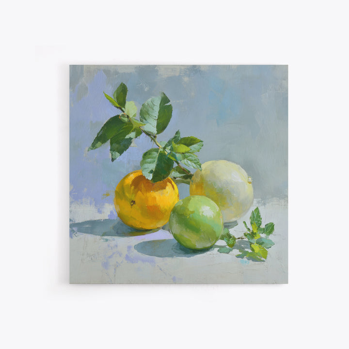 Fresh Citrus and Mint Still Life Canvas Print, Dental Office Art, Dental Office Decor, Office Decor, Calm, Science Art, DOA-1x1-31