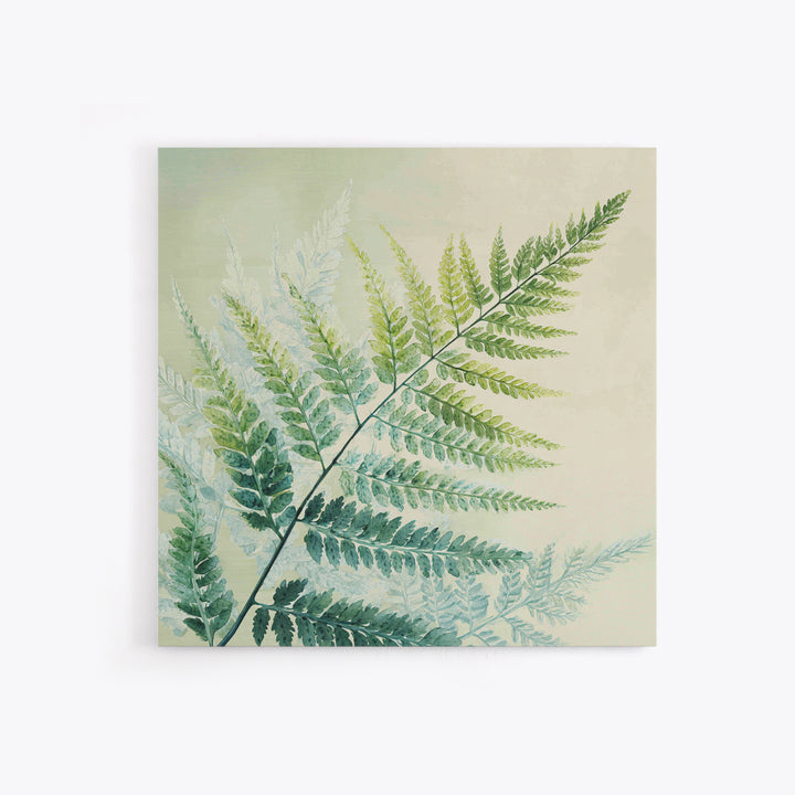 Botanical Fern Study Framed Canvas Print, Dental Office Art, Dental Hygiene, Office Decor, Fine Art, Calm, Medical Office Art, DOA-1x1-43