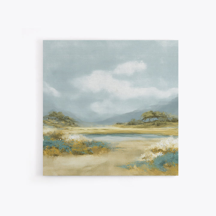 Peaceful Clouds over Open Meadow Framed Canvas Print, Dental Office Art, Dentistry Art, Office Decor, Fine Art, Calm, DOA-1x1-57