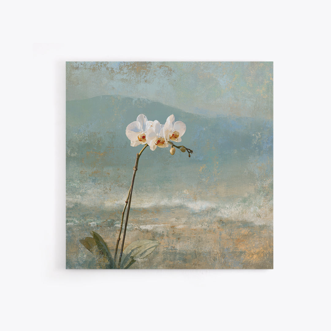 White Orchid on Stone Background Canvas Print, Dental Office Art, Dental Decor, Office Decor, Fine Art, Calm, Wall Decor, DOA-1x1-60