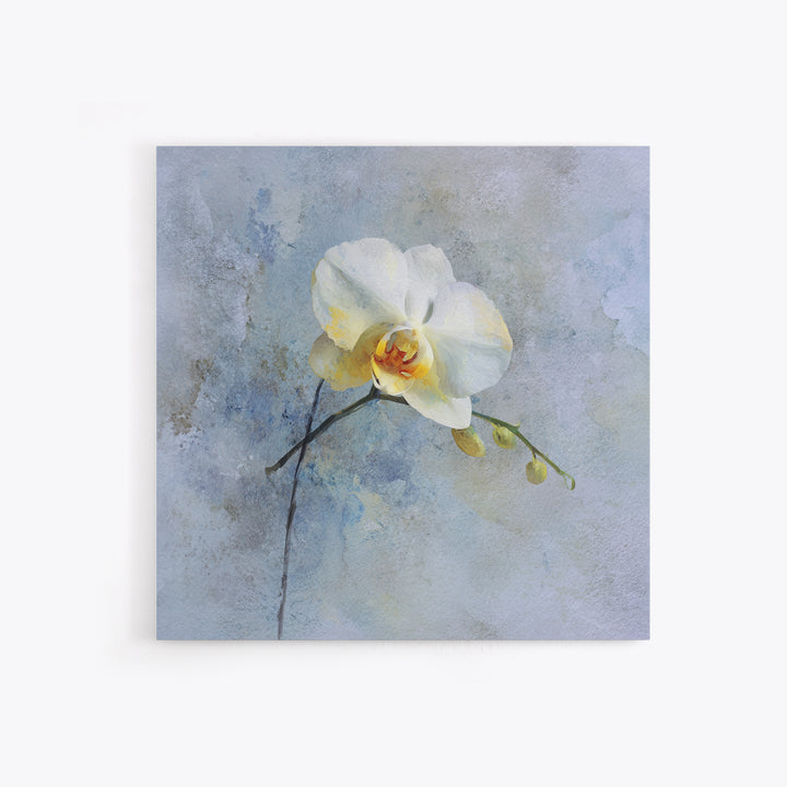 White Orchid on Stone Background Framed Canvas Print, Dental Office Art, Dental Gift, Office Decor, Abstract Art, Calm, DOA-1x1-84