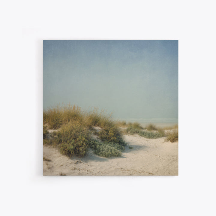 Quiet Coastal Dunes Canvas Print, Dental Office Art, Printable Digital, Office Decor, Calm, Neutral Decor, Modern Decor, DOA-1x1-94