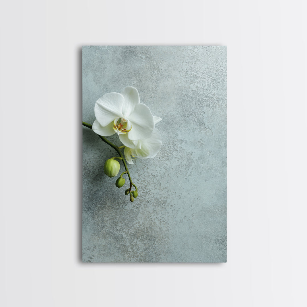 White Orchid on Stone Background Framed Canvas Print, Dental Office Art, Modern Decor, Office Decor, Fine Art, Calm, Poster, DOA-2x3-68