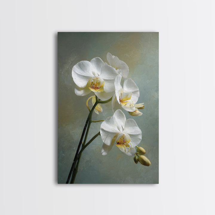 White Orchid on Stone Background Framed Canvas Print, Dental Office Art, Dental Wall Art, Office Decor, Abstract Art, Calm, DOA-2x3-92