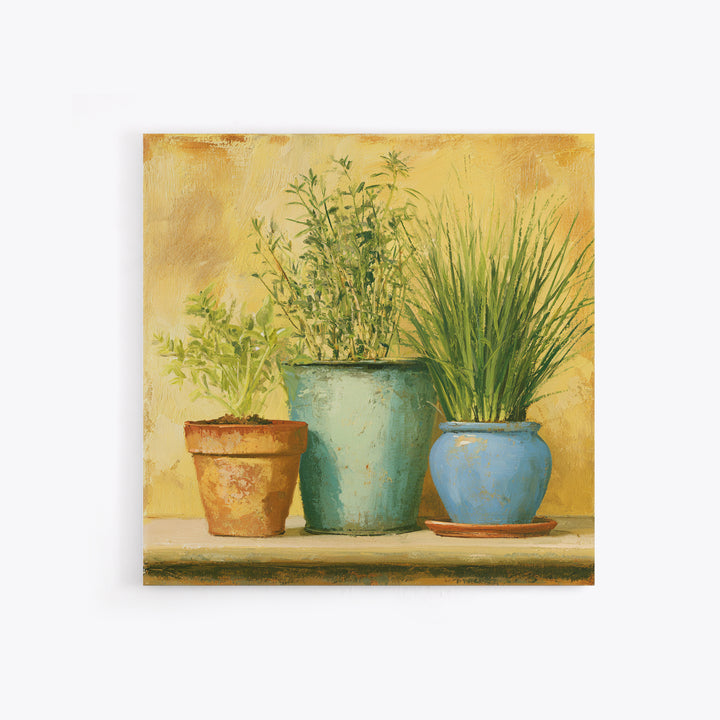 Modern Kitchen Herbs Canvas Print, Dining Room Art, Kitchen Wall Decor, Dining Room Decor, Fine Art, Dining, Statement Artwork, DRA-1x1-9