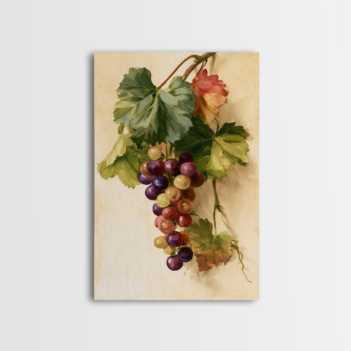 Botanical Grapevine with Leaves and Fruit Canvas Print, Dining Room Art, Large Wall Art, Dining Room Decor, Fine Art, Dining, DRA-2x3-77