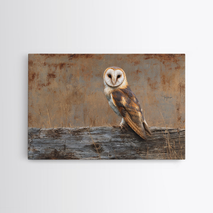 Barn Owl Perched on Aged Wood Framed Canvas Print, Farmhouse Art, Minimalist Decor, Farmhouse Decor, Fine Art, Harvest, FAR-3x2-99