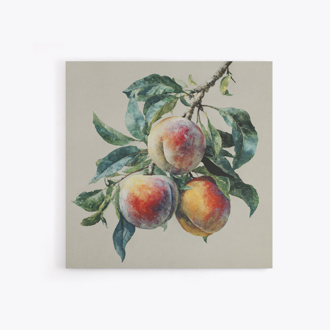 Still Life of Peaches Canvas Print, Impressionist Art, Textured Wall Art, Living Room Decor, Impression, Landscape Painting, IMP-1x1-23