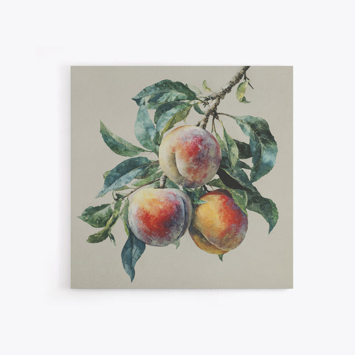 Still Life of Peaches Canvas Print, Impressionist Art, Textured Wall Art, Living Room Decor, Impression, Landscape Painting, IMP-1x1-23