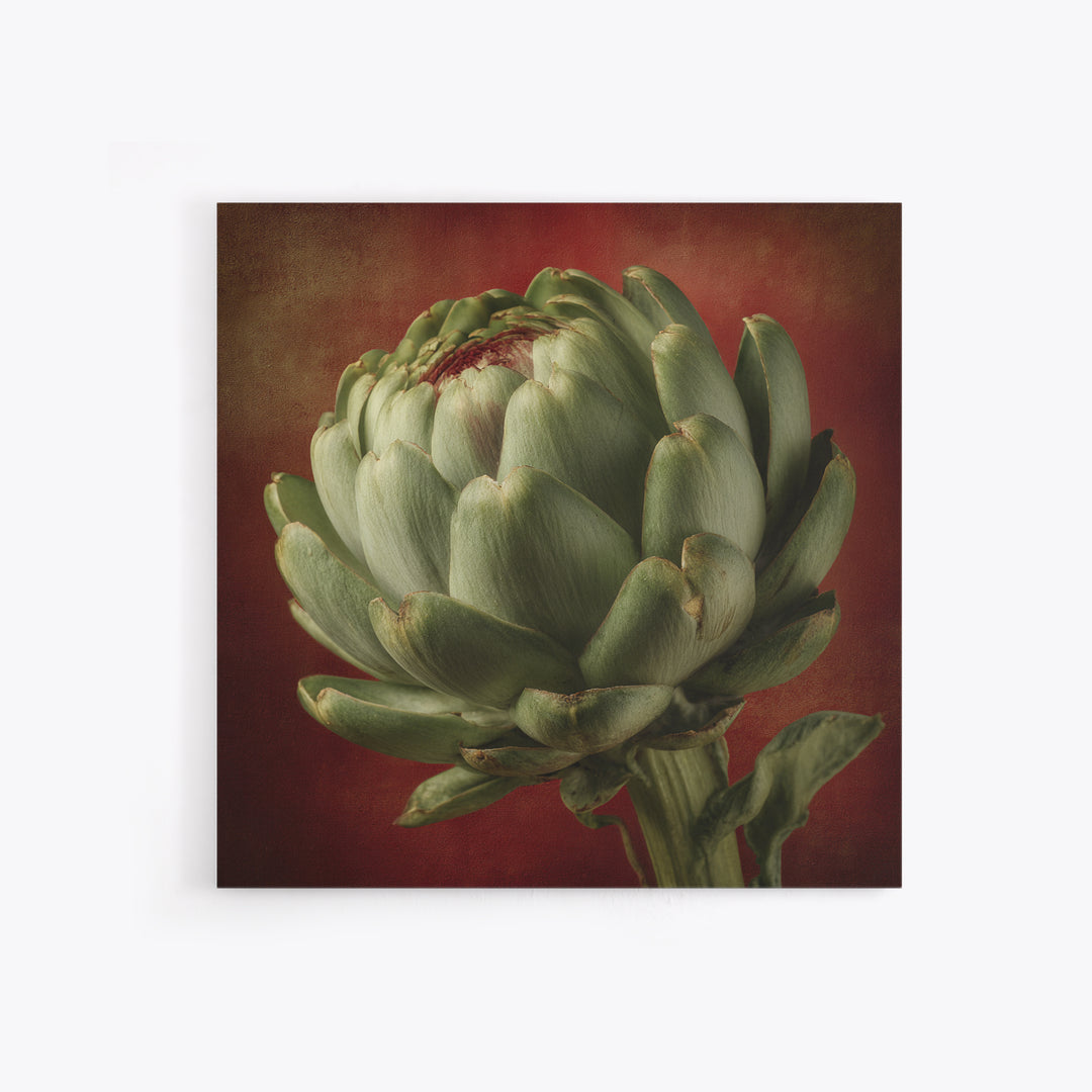 Artichoke Closeup in Painterly Green Tones Canvas Print, Kitchen Art, Prints, Kitchen Decor, Kitchen, Kitchen Wall Decor, KIT-1x1-20