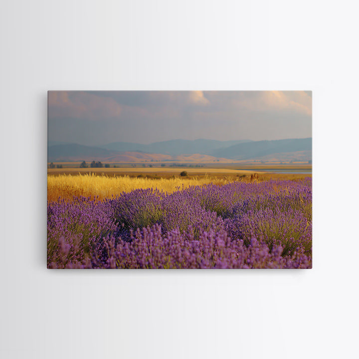 Lavender Field Leading to Distant Hills Framed Canvas Print, Landscape Art, Framed Wall Art, Living Room Decor, Oil Painting, LAN-3x2-14