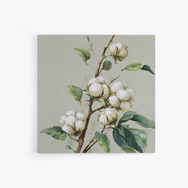 Fresh Cotton Branch Botanical Study Framed Canvas Print, Laundry Room Art, Fine Art Print, Living Room Decor, Fine Art, Clean, LRA-1x1-79
