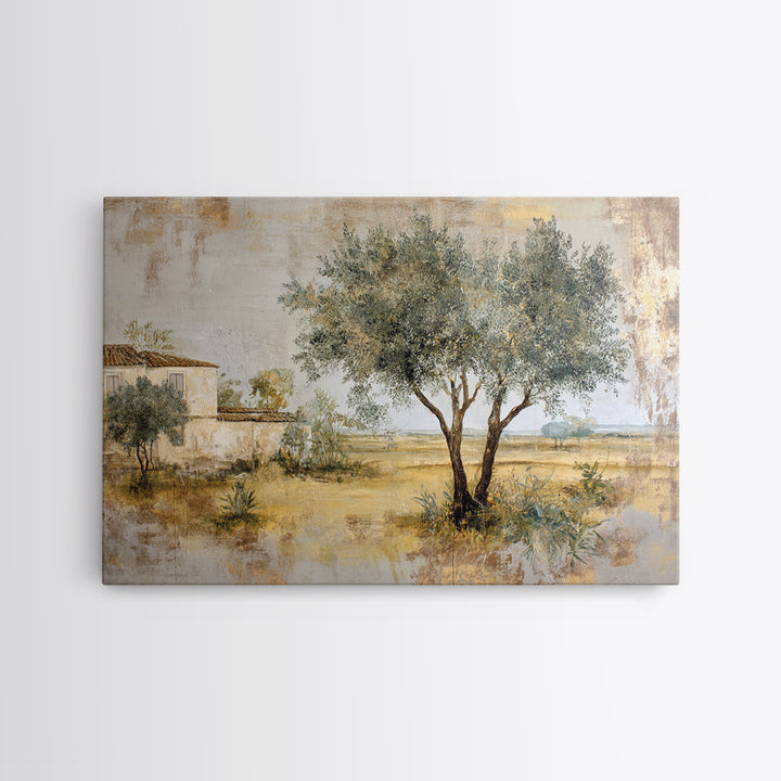Olive Grove under Pale Morning Light Framed Canvas Print, Mediterranean Art, Nautical Decor, Living Room Decor, Fine Art, Azure, MAR-3x2-69