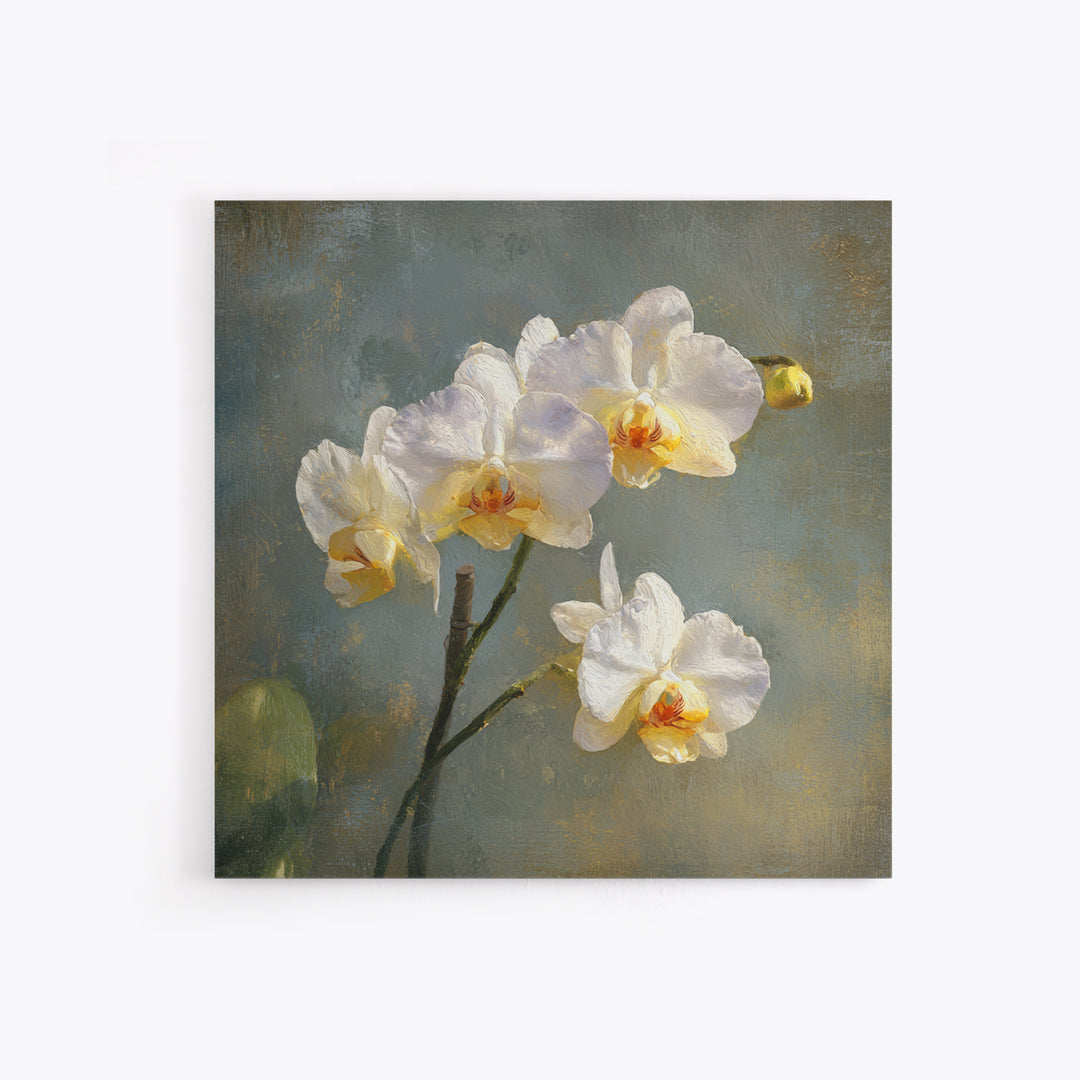 White Orchids Against Warm Gray Background Framed Canvas Print, Master Bedroom, Bedroom Decor, Abstract Art, Sanctuary, MAS-1x1-33