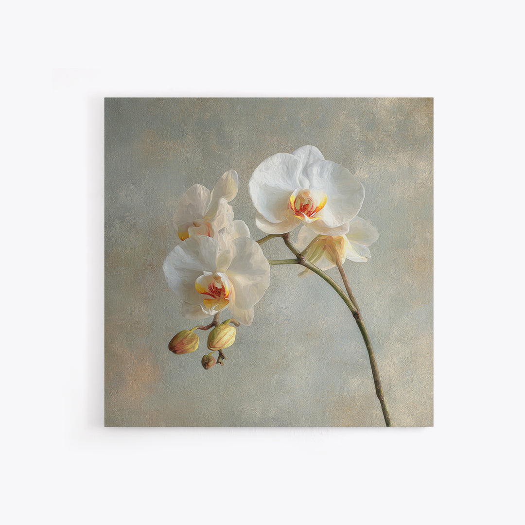 White Orchids Against Warm Gray Background Canvas Print, Master Bedroom, Art Print, Bedroom Decor, Fine Art, Sanctuary, MAS-1x1-81