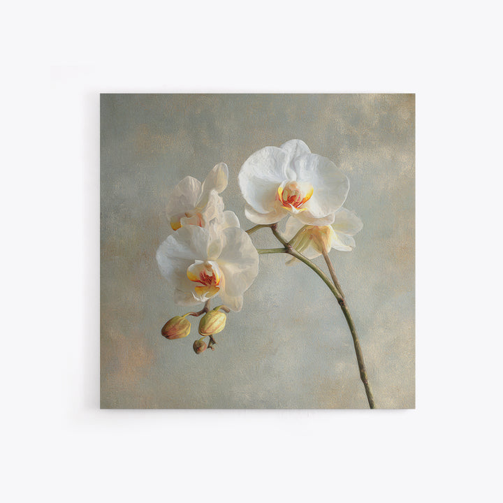 White Orchids Against Warm Gray Background Canvas Print, Master Bedroom, Art Print, Bedroom Decor, Fine Art, Sanctuary, MAS-1x1-81