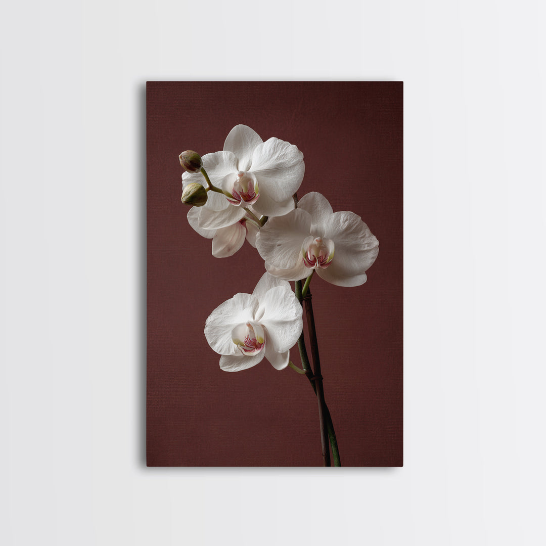 White Orchids Against Warm Gray Background Framed Canvas Print, Master Bedroom, Canvas Print, Bedroom Decor, Abstract Art, MAS-2x3-17