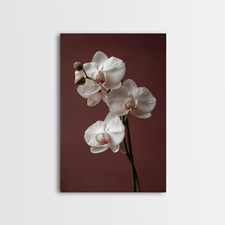 White Orchids Against Warm Gray Background Framed Canvas Print, Master Bedroom, Canvas Print, Bedroom Decor, Abstract Art, MAS-2x3-17