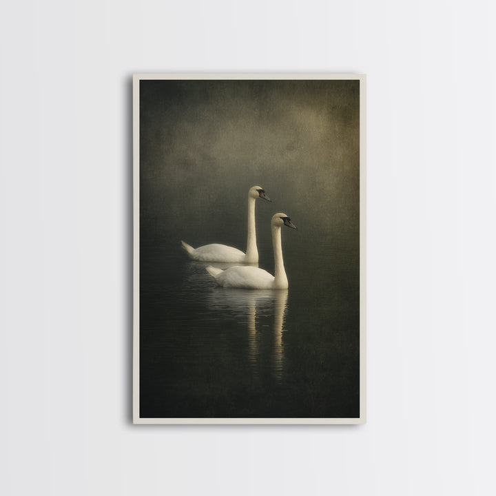 Romantic Swan Pair on Dark Water Canvas Print, Master Bedroom, Large Wall Art, Bedroom Decor, Sanctuary, Bedroom Prints, MAS-2x3-23