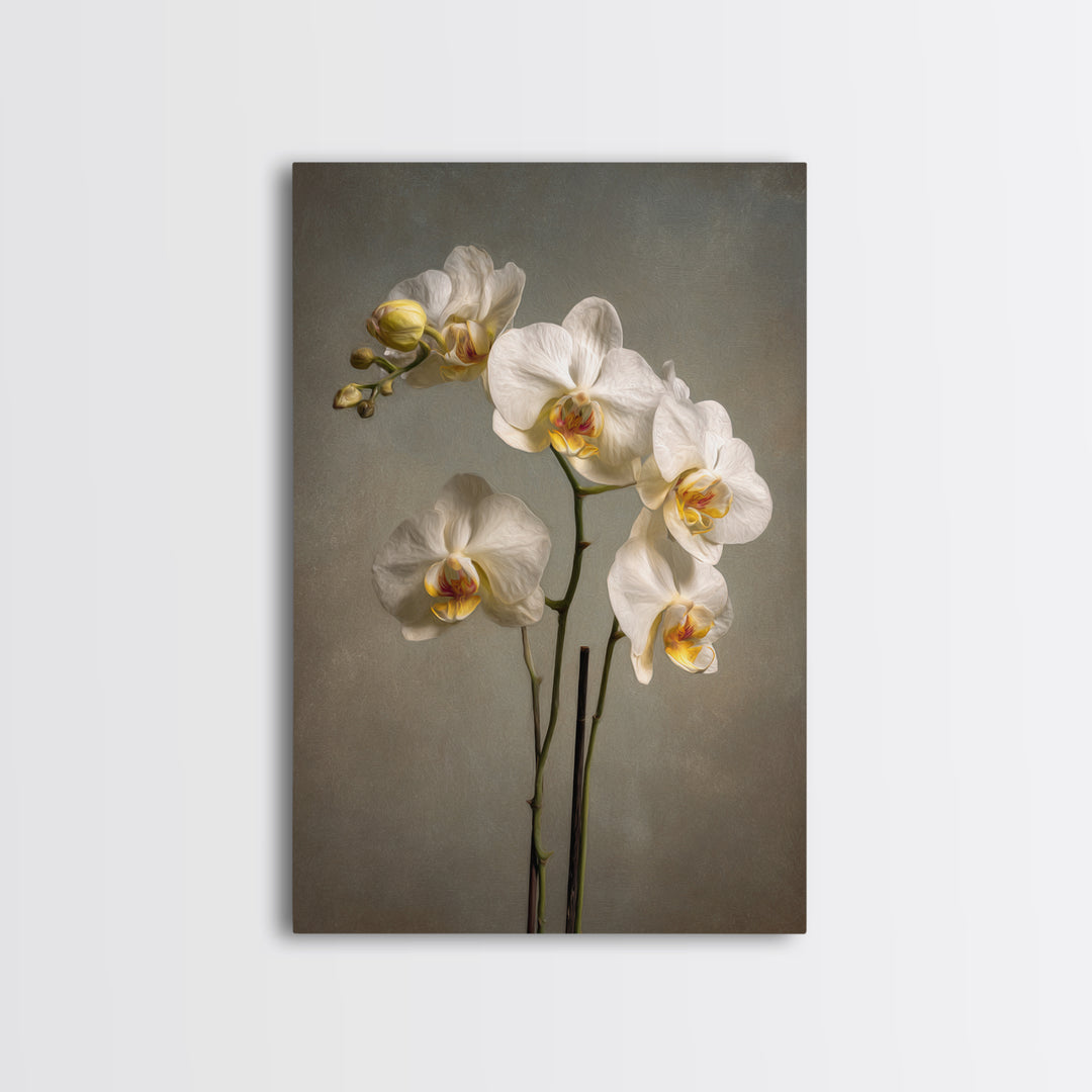 White Orchids Against Warm Gray Background Canvas Print, Master Bedroom, Farmhouse Wall Art, Bedroom Decor, Fine Art, Sanctuary, MAS-2x3-65