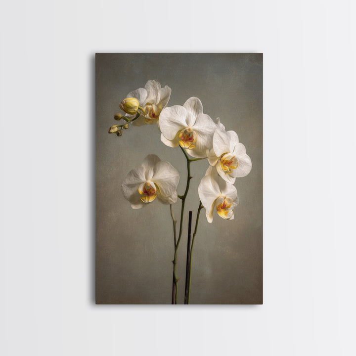 White Orchids Against Warm Gray Background Canvas Print, Master Bedroom, Farmhouse Wall Art, Bedroom Decor, Fine Art, Sanctuary, MAS-2x3-65
