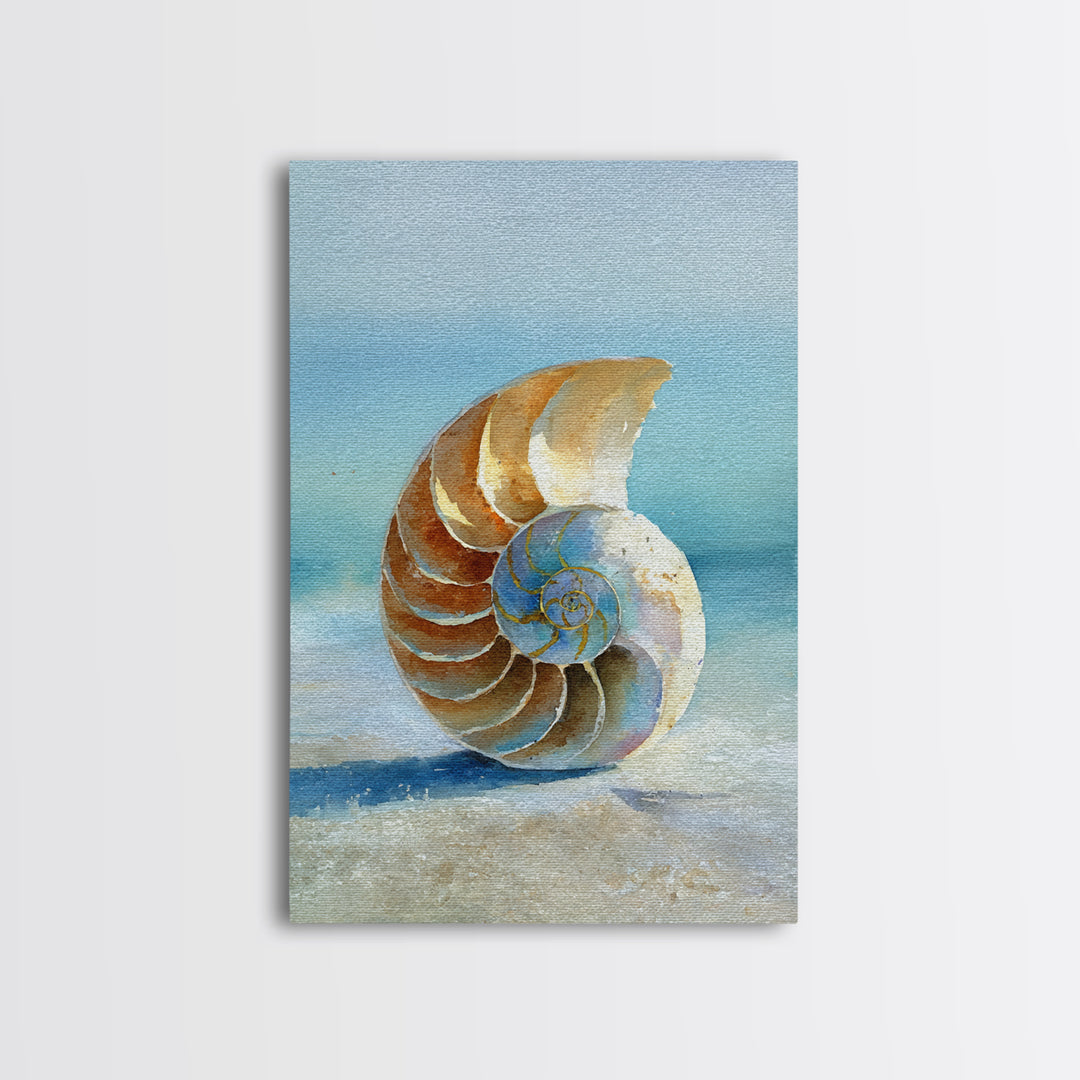 Nautilus Shell Study Canvas Print, Marine Life Art, Luxury Decor, Living Room Decor, Fine Art, Marine, Beach Decor, Coastal Art, MLA-2x3-91