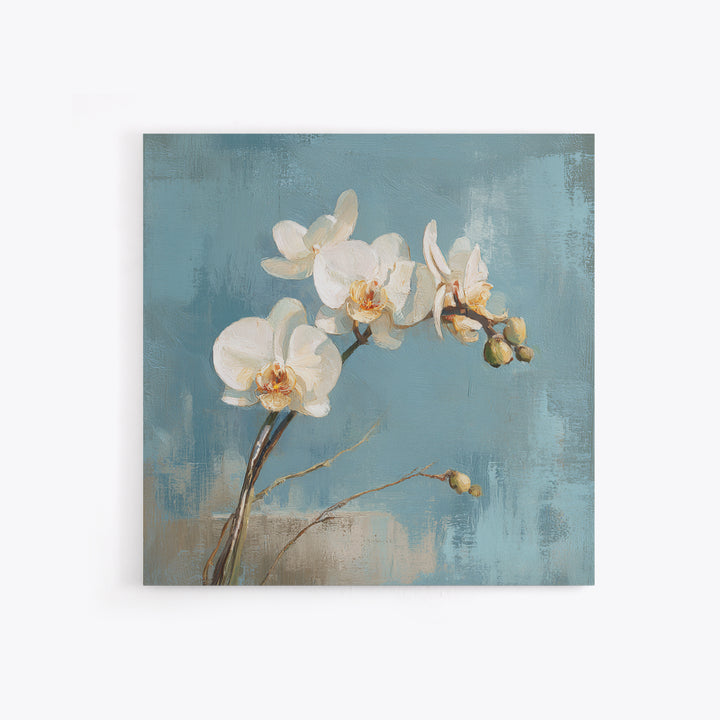White Orchid on Gray Stone Surface Canvas Print, Medical Office Art, School Nurse Art, Office Decor, Oil Painting, Calm, MOA-1x1-30