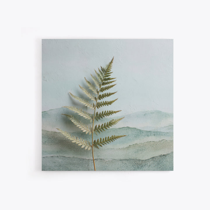 Minimal Green Fern Specimen Framed Canvas Print, Medical Office Art, Teal Wall Art, Office Decor, Fine Art, Calm, Anatomy Art, MOA-1x1-56