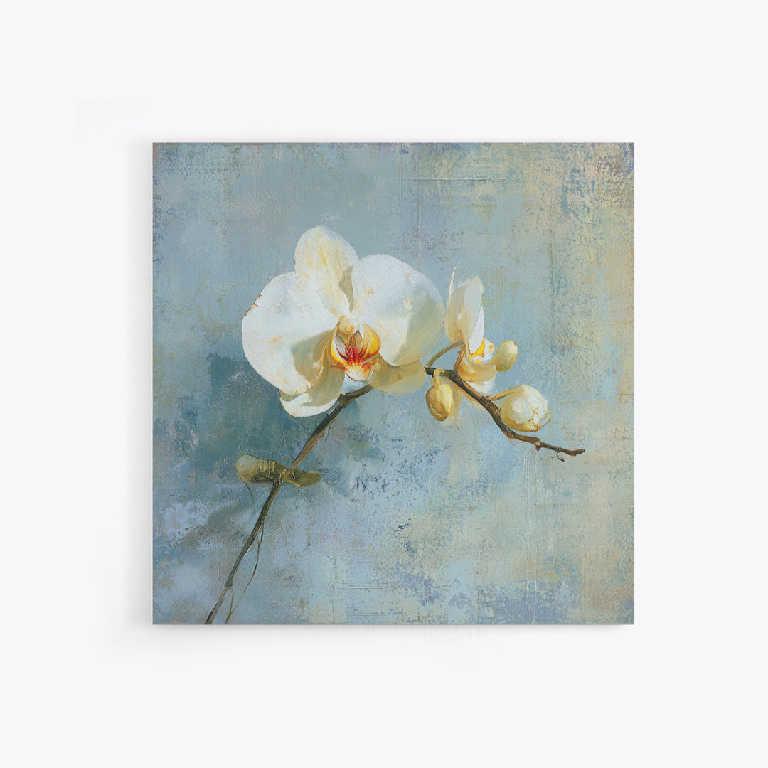 White Orchid on Gray Stone Surface Framed Canvas Print, Medical Office Art, Medical Wall Art, Office Decor, Fine Art, Calm, MOA-1x1-6