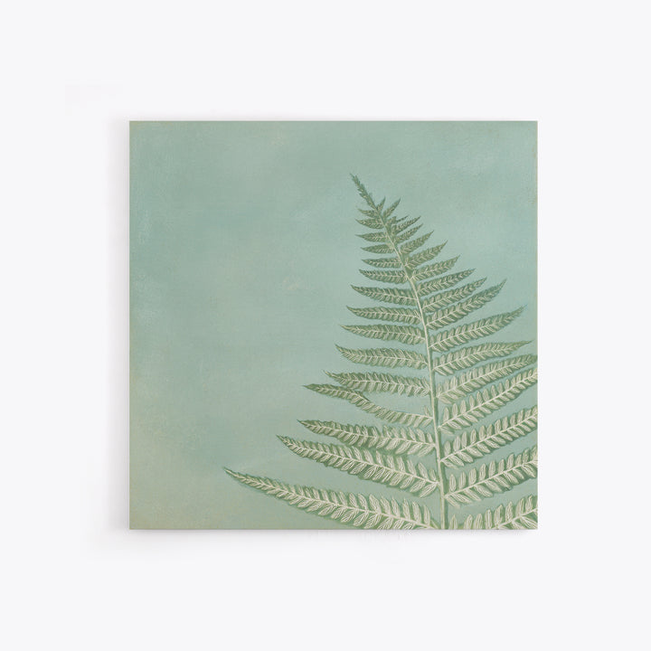Minimal Green Fern Specimen Framed Canvas Print, Medical Office Art, Modern Decor, Office Decor, Fine Art, Calm, Home Decor, MOA-1x1-80
