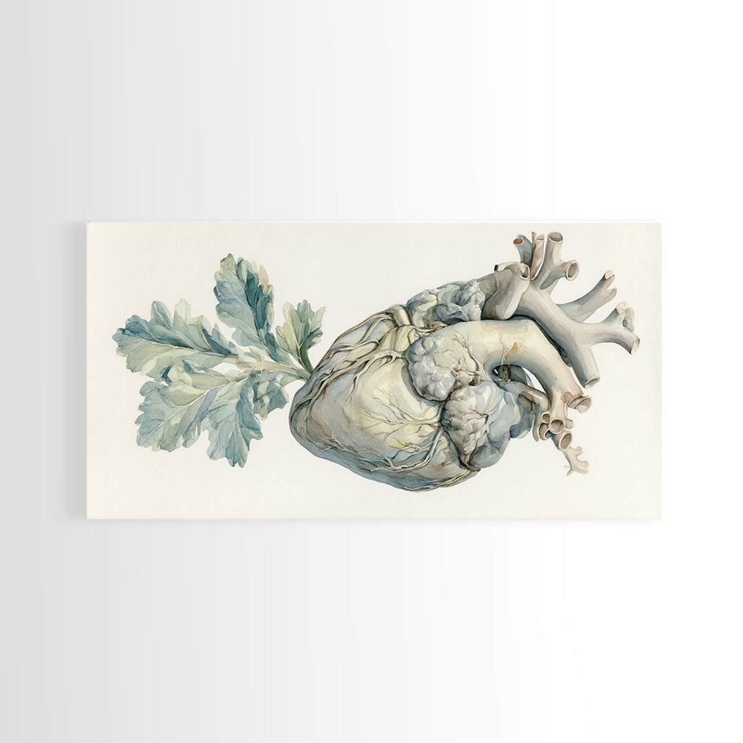 Anatomical Heart Rendered as Tasteful Botanical Art Canvas Print, Medical Office Art, Minimalist Art, Office Decor, Calm, MOA-2x1-81