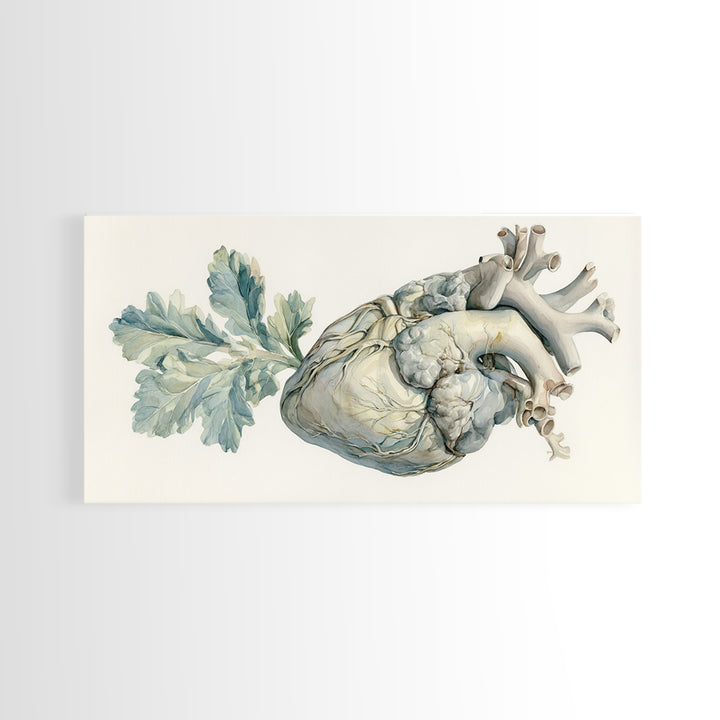 Anatomical Heart Rendered as Tasteful Botanical Art Canvas Print, Medical Office Art, Minimalist Art, Office Decor, Calm, MOA-2x1-81