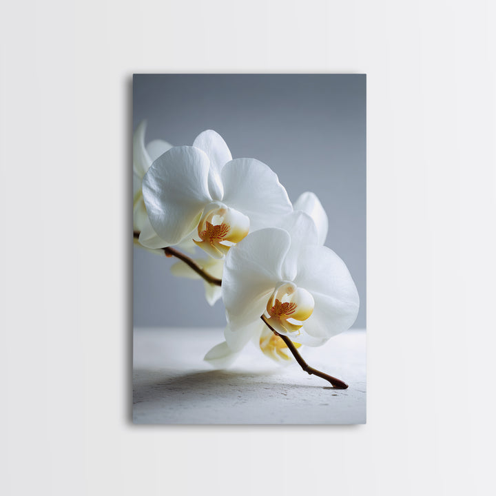 White Orchid on Gray Stone Surface Canvas Print, Medical Office Art, Art Print, Office Decor, Oil Painting, Calm, Printable Art, MOA-2x3-14