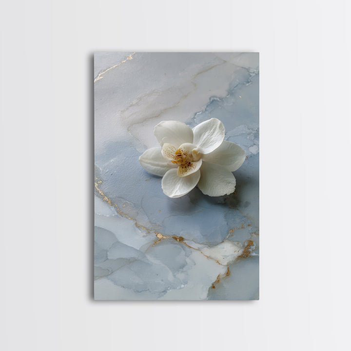 White Orchid on Gray Stone Surface Framed Canvas Print, Medical Office Art, Wall Art, Office Decor, Calm, Printable Card, MOA-2x3-38