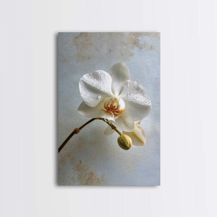 White Orchid on Gray Stone Surface Canvas Print, Medical Office Art, Digital Wall Art, Office Decor, Calm, Healthcare Wall Art, MOA-2x3-86
