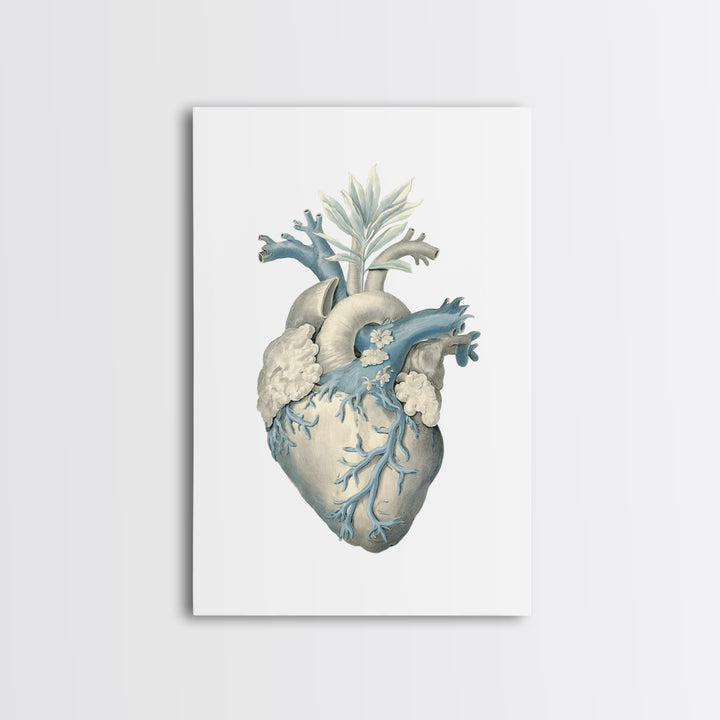 Anatomical Heart Rendered as Tasteful Botanical Art Canvas Print, Medical Office Art, Dental Office Decor, Office Decor, Calm, MOA-2x3-93