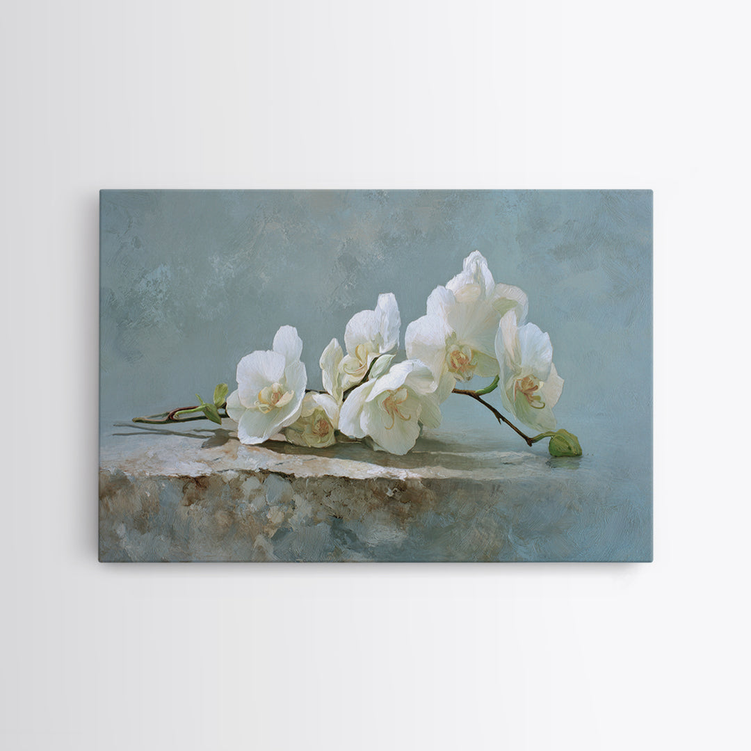 White Orchid on Gray Stone Surface Canvas Print, Medical Office Art, Brain Poster, Office Decor, Fine Art, Calm, Medical School, MOA-3x2-34