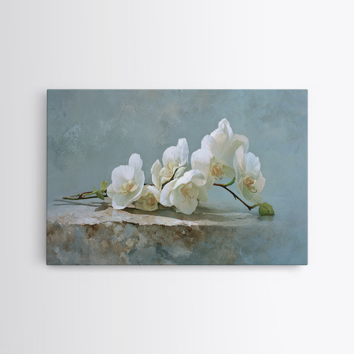White Orchid on Gray Stone Surface Canvas Print, Medical Office Art, Brain Poster, Office Decor, Fine Art, Calm, Medical School, MOA-3x2-34