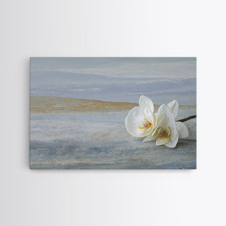 White Orchid on Gray Stone Surface Canvas Print, Medical Office Art, Brain Poster, Office Decor, Fine Art, Calm, Medical School, MOA-3x2-58
