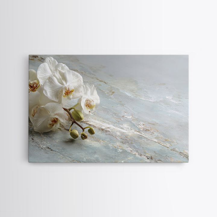 White Orchid on Gray Stone Surface Framed Canvas Print, Medical Office Art, Brain Art, Office Decor, Oil Painting, Calm, MOA-3x2-82