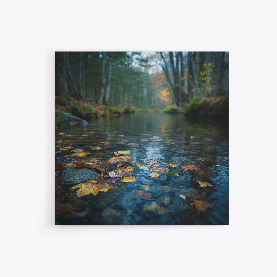 Autumn Leaves Floating on Quiet Stream Canvas Print, Nature Art, Digital Download Art, Living Room Decor, Oil Painting, Nature, NAT-1x1-30