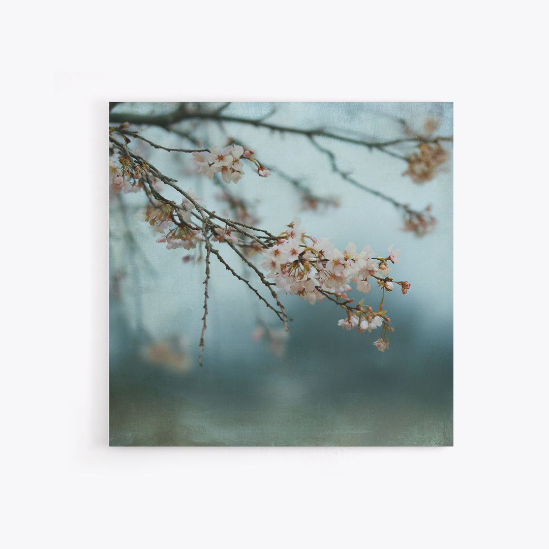 Spring Cherry Blossoms Framed Canvas Print, Nature Art, Art Print, Living Room Decor, Fine Art, Nature, Printable Wall Art, NAT-1x1-40