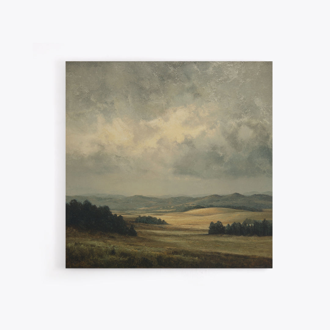 Storm Clouds over a Rolling Prairie Framed Canvas Print, Nature Art, Bird Wall Art, Living Room Decor, Fine Art, Nature, NAT-1x1-62