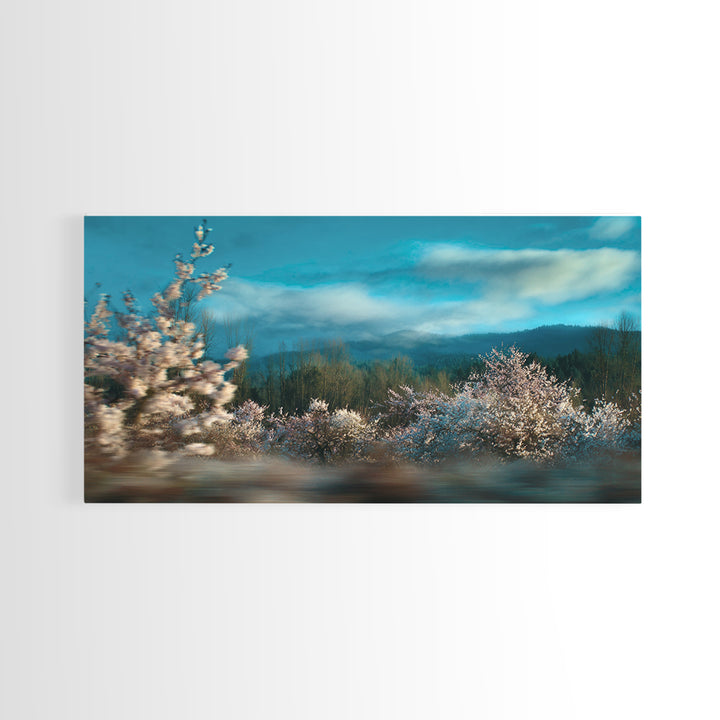 Spring Cherry Blossoms Canvas Print, Nature Art, Wall Art, Living Room Decor, Watercolor Art, Nature, Wood Wall Art, NAT-2x1-36